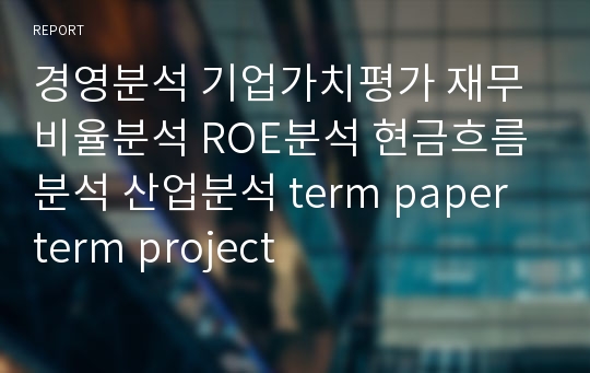 경영분석 기업가치평가 재무비율분석 ROE분석 현금흐름분석 산업분석 term paper term project