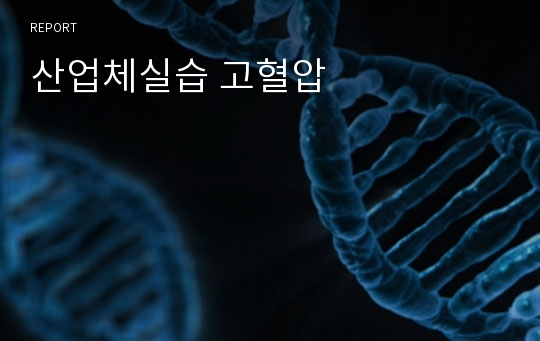 산업체실습 고혈압