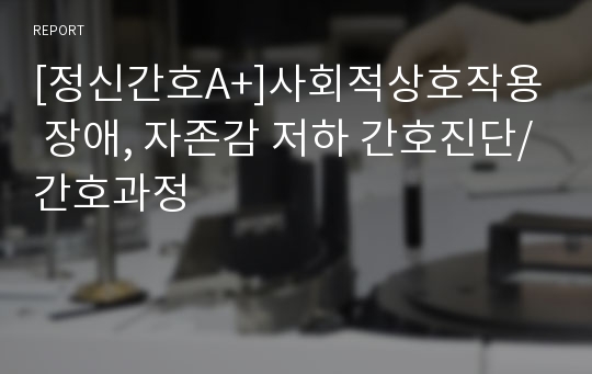 [정신간호A+]사회적상호작용 장애, 자존감 저하 간호진단/간호과정