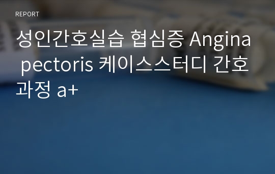 성인간호실습 협심증 Angina pectoris 케이스스터디 간호과정 a+