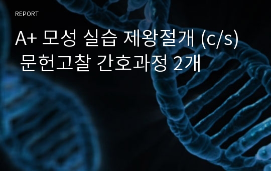 A+ 모성 실습 제왕절개 (c/s) 문헌고찰 간호과정 2개