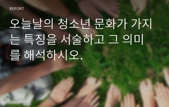 오늘날의 청소년 문화가 가지는 특징을 서술하고 그 의미를 해석하시오.