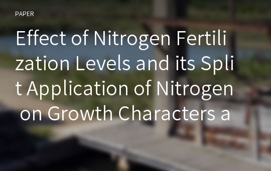 Effect of Nitrogen Fertilization Levels and its Split Application of Nitrogen on Growth Characters and Productivity in Sorghum × Sudangrass Hybrids [Sorghum bicolor (L.) Moench]