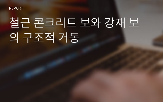 철근 콘크리트 보와 강재 보의 구조적 거동