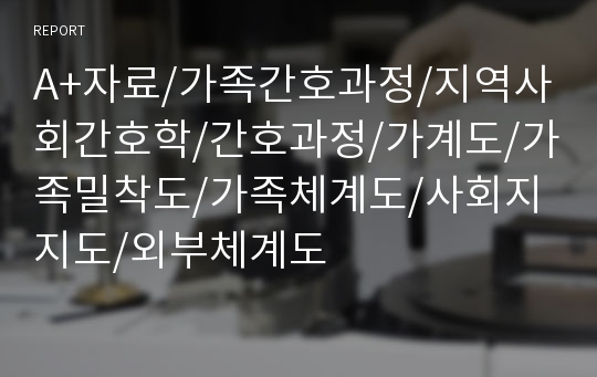 A+자료/가족간호과정/지역사회간호학/간호과정/가계도/가족밀착도/가족체계도/사회지지도/외부체계도