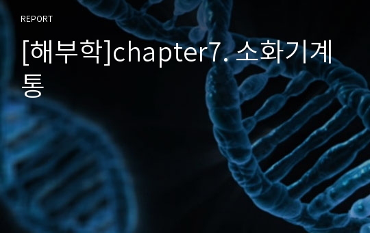 [해부학]chapter7. 소화기계통