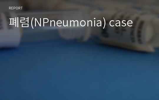 폐렴(NPneumonia) case