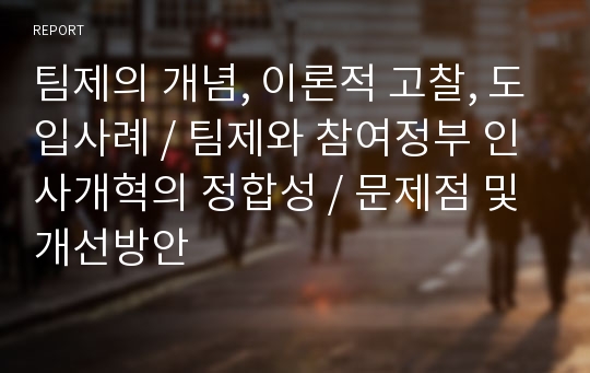 팀제의 개념, 이론적 고찰, 도입사례, 팀제와 참여정부 인사개혁의 정합성, 문제점 및 개선방안