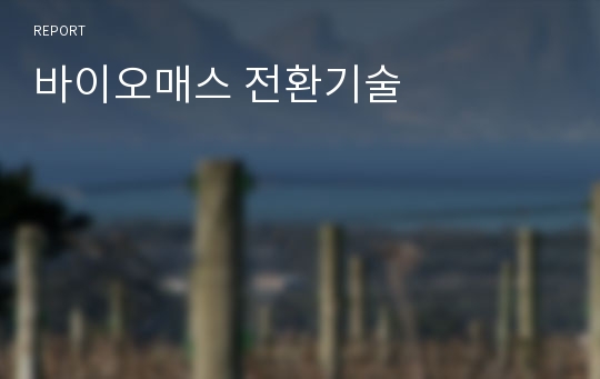 바이오매스 전환기술