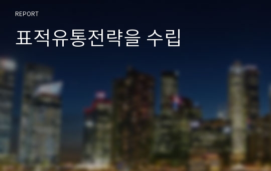 표적유통전략을 수립