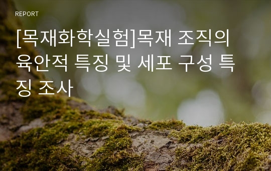 [목재화학실험]목재 조직의 육안적 특징 및 세포 구성 특징 조사