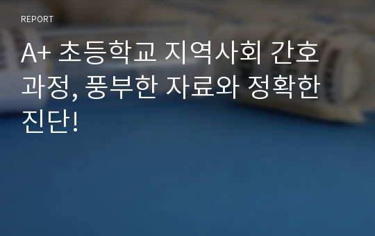 A+ 초등학교 지역사회 간호과정, 풍부한 자료와 정확한 진단!