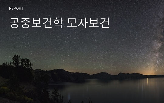 공중보건학 모자보건