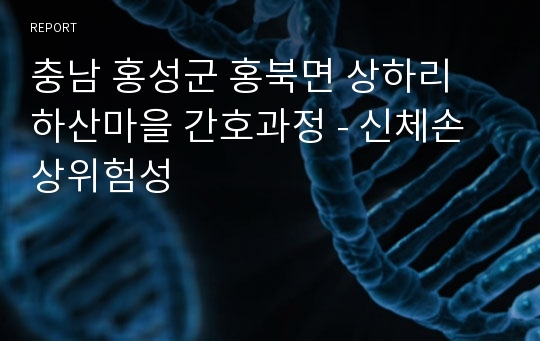 충남 홍성군 홍북면 상하리 하산마을 간호과정 - 신체손상위험성