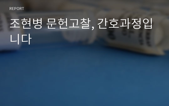 조현병 문헌고찰, 간호과정입니다