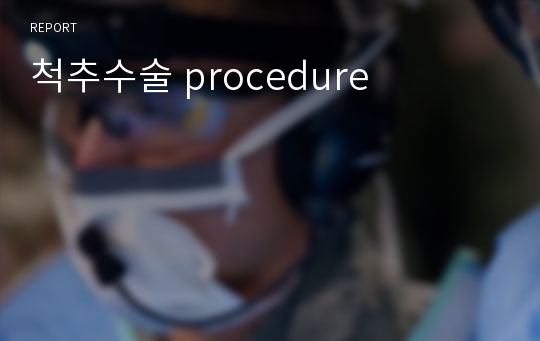 척추수술 procedure