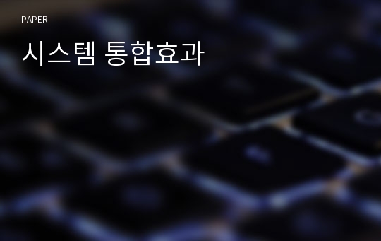 시스템 통합효과