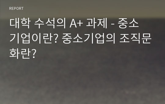 대학 수석의 A+ 과제 - 중소기업이란? 중소기업의 조직문화란?