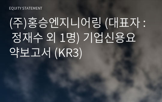 (주)금양기업 기업신용요약보고서 (KR3)