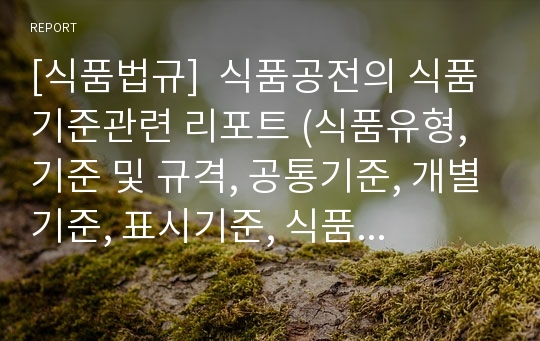 [식품법규]  식품공전의 식품기준관련 리포트 (식품유형, 기준 및 규격, 공통기준, 개별기준, 표시기준, 식품등의 세부표시기준, 식품등의 영양표시기준)