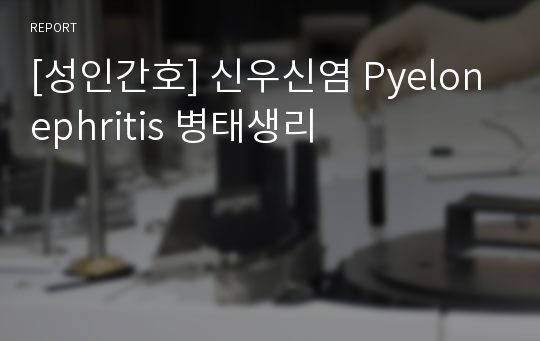 [성인간호] 신우신염 Pyelonephritis 병태생리