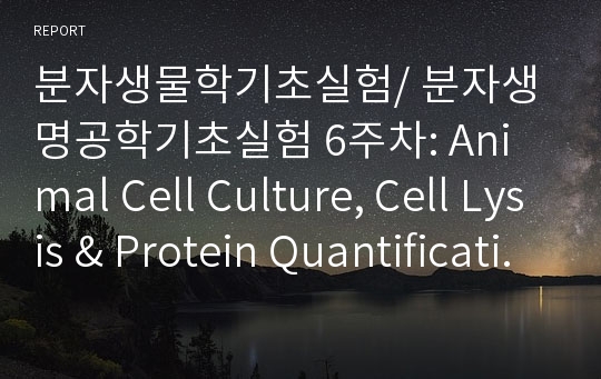 분자생물학기초실험/ 분자생명공학기초실험 6주차: Animal Cell Culture, Cell Lysis &amp; Protein Quantification [A+ 리포트]