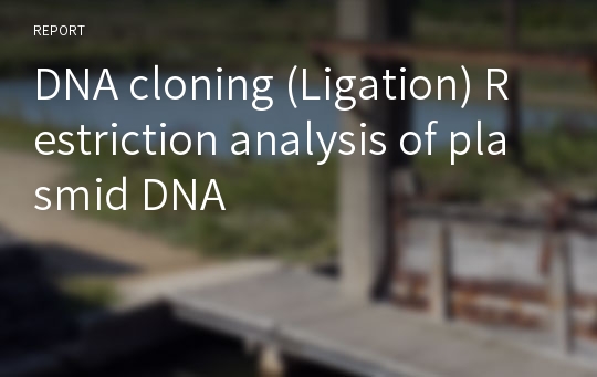 DNA cloning (Ligation) Restriction analysis of plasmid DNA