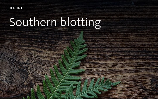 Southern blotting