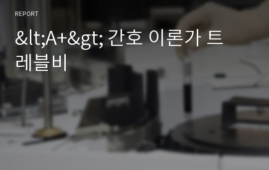 &lt;A+&gt; 간호 이론가 트레블비