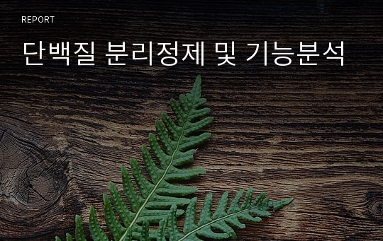 단백질 분리정제 및 기능분석