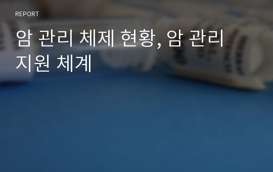 암 관리 체제 현황, 암 관리 지원 체계