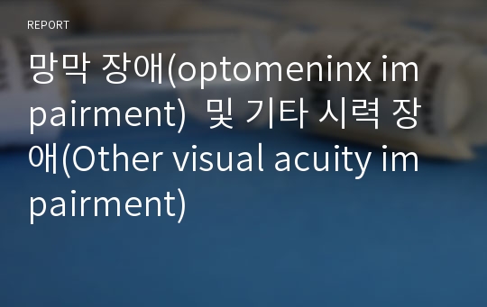 망막 장애(optomeninx impairment)  및 기타 시력 장애(Other visual acuity impairment)