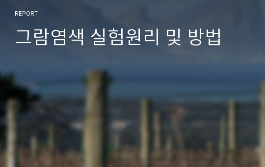 그람염색 실험원리 및 방법