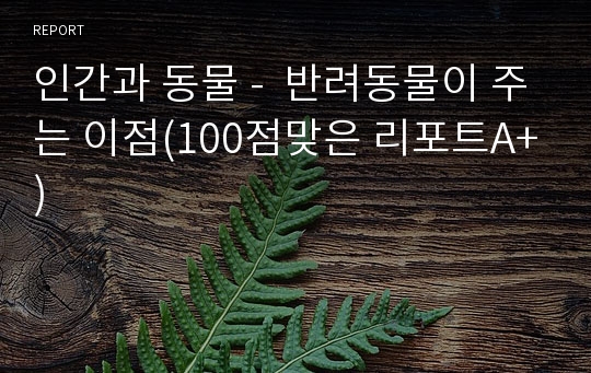 인간과 동물 -  반려동물이 주는 이점(100점맞은 리포트A+)