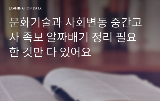 문화기술과 사회변동 중간고사 족보 알짜배기 정리 필요한 것만 다 있어요