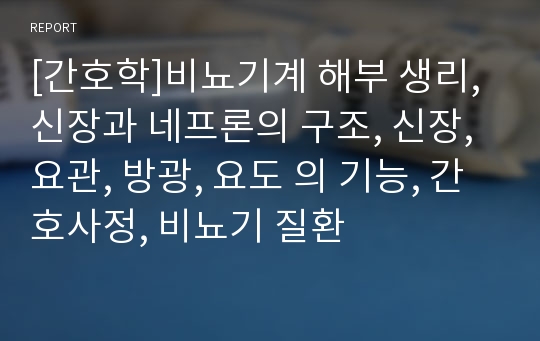 [간호학]비뇨기계 해부 생리, 신장과 네프론의 구조, 신장, 요관, 방광, 요도 의 기능, 간호사정, 비뇨기 질환