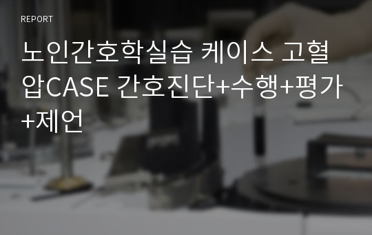 노인간호학실습 케이스 고혈압CASE 간호진단+수행+평가+제언