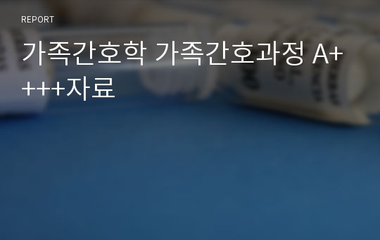 가족간호학 가족간호과정 A++++자료