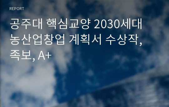 공주대 핵심교양 2030세대 농산업창업 계획서 수상작, 족보, A+