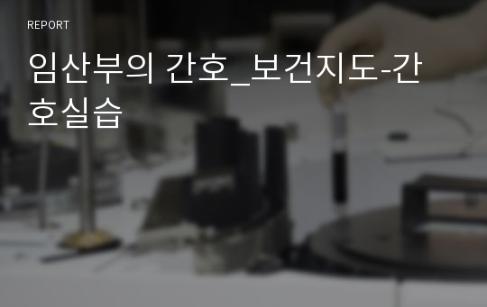 임산부의 간호_보건지도-간호실습