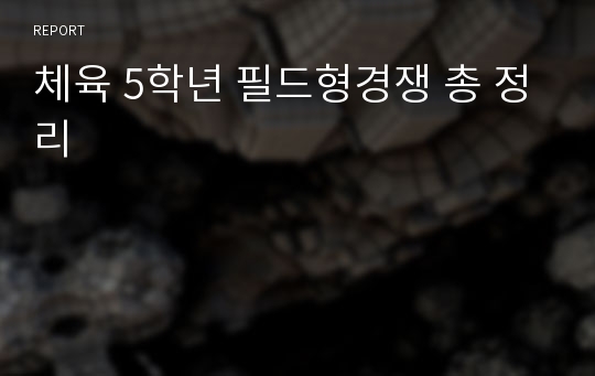 체육 5학년 필드형경쟁 총 정리