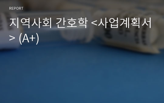 지역사회 간호학 &lt;사업계획서&gt; (A+)