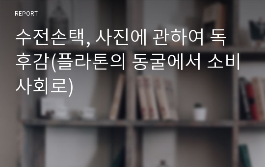 수전손택, 사진에 관하여 독후감(플라톤의 동굴에서 소비사회로)