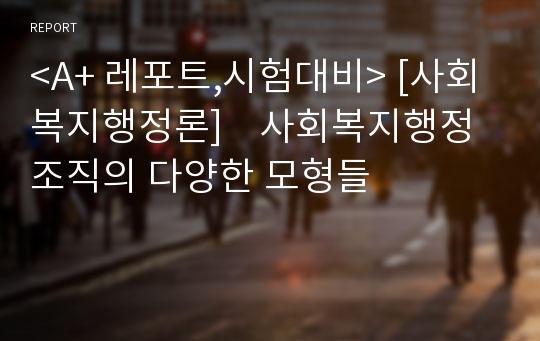 &lt;A+ 레포트,시험대비&gt; [사회복지행정론]    사회복지행정조직의 다양한 모형들