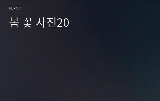 봄 꽃 사진20