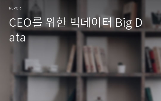 CEO를 위한 빅데이터 Big Data