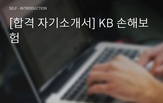 [합격 자기소개서] KB 손해보험