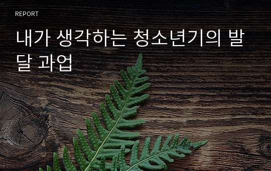 내가 생각하는 청소년기의 발달 과업