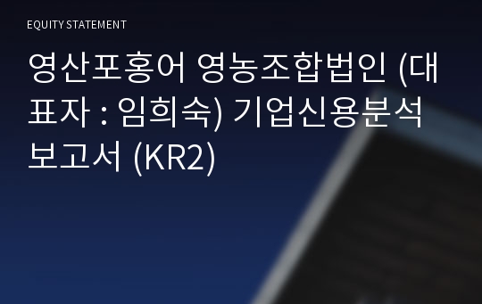 영산포홍어 영농조합법인(기타) 기업신용분석보고서 (KR2)