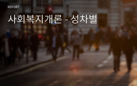 사회복지개론 - 성차별